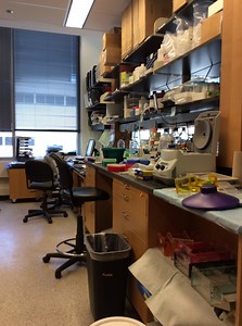 Interview With Northwestern Oncologist