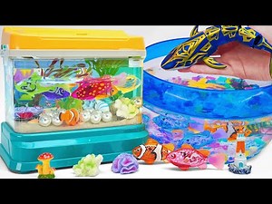 Satisfying Unboxing Zuru Robo Alive Aquarium & Robo Fishing Tank & RC Whale Playset ReviewToys