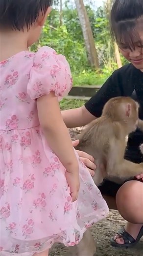 Kaka wants to go home, she does not want to live in this four-cornered cage🥺 | Kaka Page