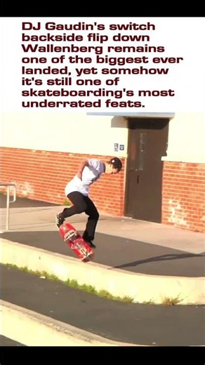 DJ Gaudin's Switch Backside Flip at Wallenberg