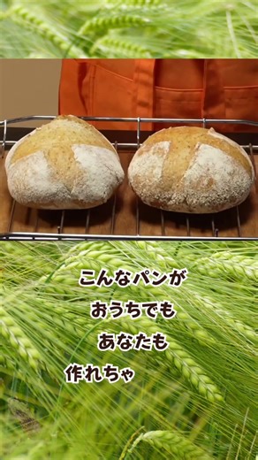 Comparing oven and toaster baking methods: Authentic French bread made with sourdough starter.