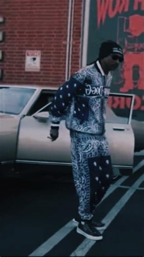 Snoop Dogg West Coast Style Part.2 #shortvideo #rap #snoopdogg