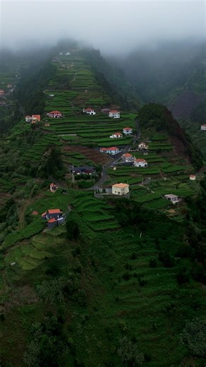 14K views · 23K reactions | Clouds hanging low over Madeira‘s wild beauty - nature at its most raw and stunning. Madeira, Portugal  for more wild beauty vibes follow @ronald_soethje #planetearth #moodgrams #wildbeauty | soethje.com | Facebook