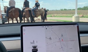 Tesla to show new animal visualizations