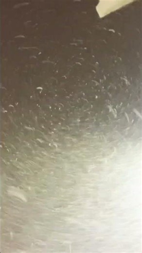 #snow #snowman #snowfall #winter #asmr