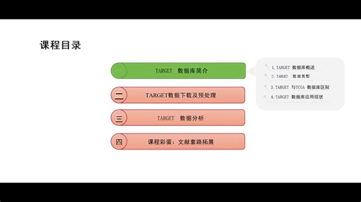 零代码 TARGET数据库使用教程