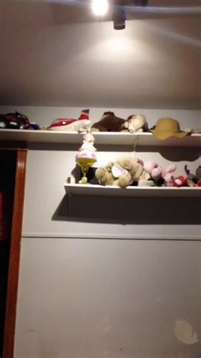 Galaxy wolf (@galaxywolf674)’s videos with original sound - ICEEEE