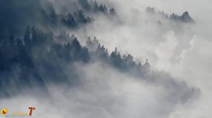 What quantum radar really is and why stealth aircraft worry about it