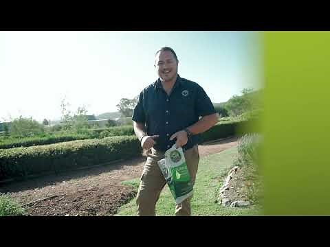 How To Use The Guanoboost Granules On Your Lawn