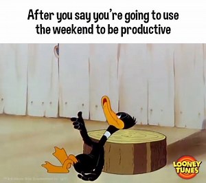 56K views · 2.9K reactions | If the universe wanted us to be productive, it shouldn't have invented binge-watching. | Looney Tunes | Facebook