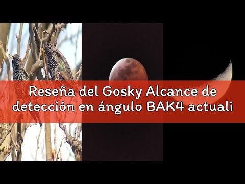 Reseña del Gosky Alcance de detección en ángulo BAK4 actualizado para Tiro al Objetivo, Caza, observ
