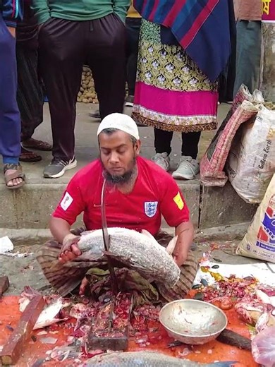 Colorful Coral Fish | Amazing Life of Coral Reef Fish