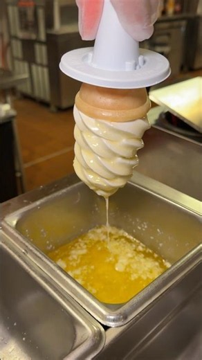 BUTTER-DIPPED ICE CREAM topped with SEA SALT from Stew Leonards in Connecticut!🍦 WOAH! #DEVOURPOWER