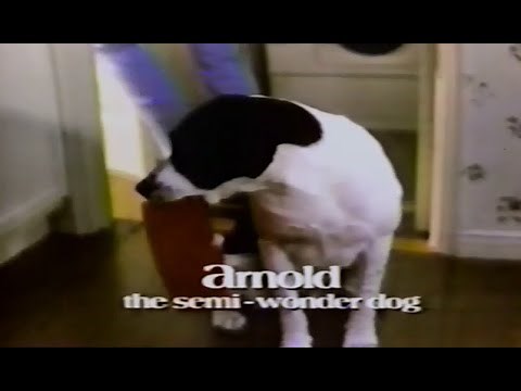 Life Goes On TV Show Intro - Ob-la-di - Later season version