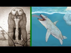 The History of Speculative Zoology - Part 3