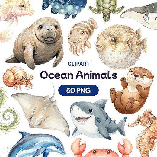 Ocean Animals Clipart, 50 Watercolor Sea Creature PNG, Cute Under the Sea, Nursery Decor, Shark, Dolphin, Turtle, Otter, Whale, Manatee Fish - Etsy