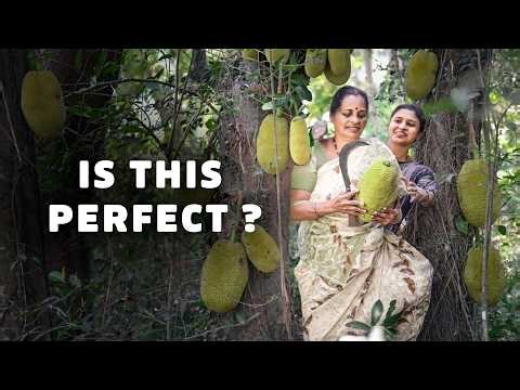 Is this Jackfruit Perfect...or Too Late? | Tender Jackfruit Curry