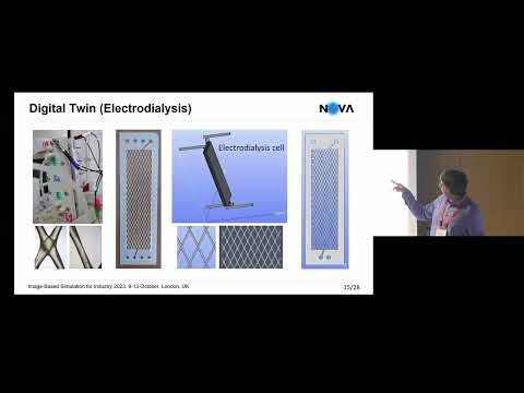 IBSim-4i 2023: Sylwin Pawlowski, University of Lisbon, Portugal