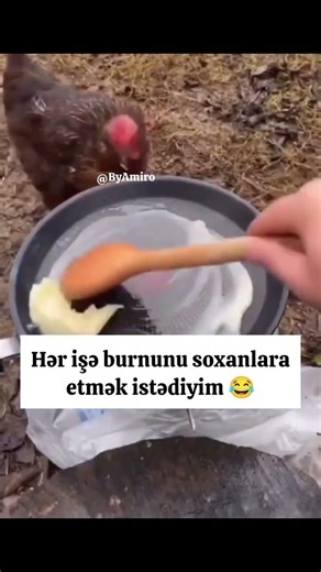 Whatsapp ucun maraqli, MƏNALI statuslar, status ucun sevgi videolari, QƏMLİ WHATSAPP STATUSLARI 2026