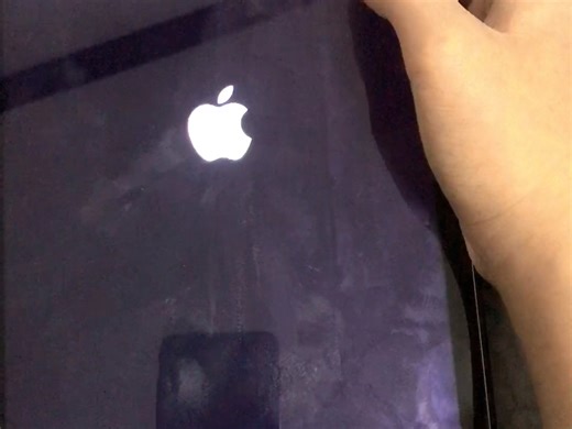 iOS 12.5.8吗 有点意思