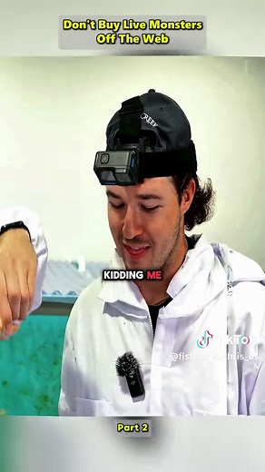 Why You Shouldn’t Buy Live Monsters Online