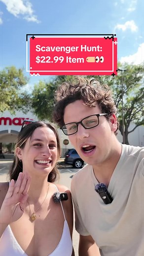 Scavenger Hunt: $22.99 Item Challenge!