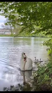 145K views · 2.2K reactions | عــيــد أضــحـى مُـبارك، على الجميـع، و كُـل عــام وأنتـم بألـف خـيـر懶❤️ | Hussein Al-iraqi | Facebook