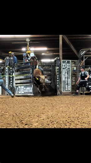 Keeping Your Knives Sharp: Essential Tips