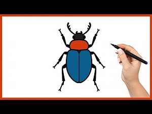 Comment dessiner un scarabée facilement – Tuto dessin étape par étape