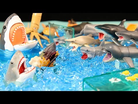 Scary Shark Toy Jaws figure set