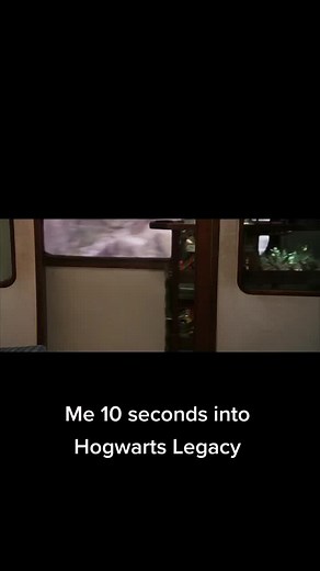 Anything off the trolley, dears? #hogwartslegacy #hogwarts #harrypotter