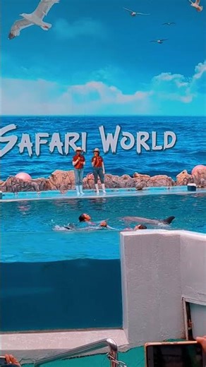 BANGKOK VLOG Dolphin Show Highlights! 🤩 Safari World Marine Park #Thailand #Dolphin