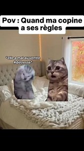 77K views · 951 reactions | Red week | Stories2chats | Facebook