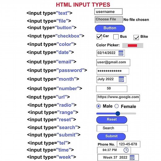 HTML Input Tags List Tutorial For Beginners Web Development #html, #input #lists