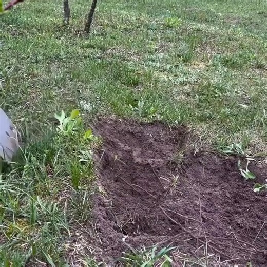 Dugout Shelter Building for Survival Making an Underground cache and an Old Castle | Viktor & The Blood
