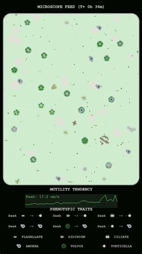 Kinetics of Protozoan Clustering and Velocity Surges