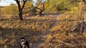 18 reactions · 10 comments | Ben Rhodes on Reels | Facebook