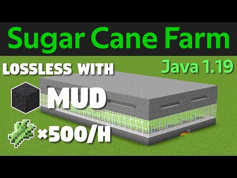Minecraft Sugar Cane Farm Tutorial (Mud, Lossless, 500 Sugarcane/h, Expandable)Java 1.19 Wild Update
