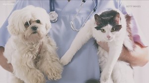Upcoming free rabies clinic in Erie County