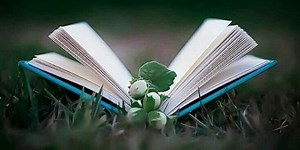 Streamlit Digital Book