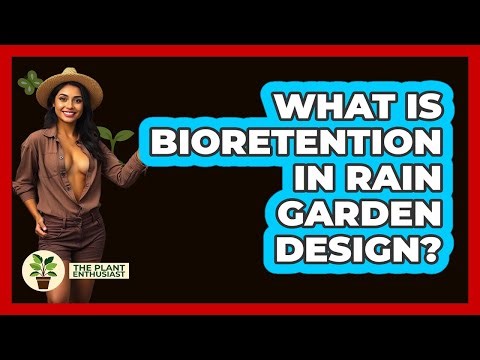 What Is Bioretention In Rain Garden Design? - The Plant Enthusiast