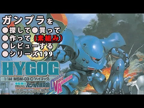 ガンプラ/ハイゴッグ（旧キット・MSM-03/C・1/144）製作（素組み）レビュー動画 199/機動戦士ガンダム0080～ポケットの中の戦争[GUNPLA CLASSIC 1989]【ゆい・かじ】