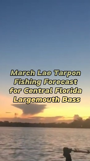 March Lake Tarpon Fishing Forecast for Central Florida Largemouth Bass #fishing #bassfishing #fishingguide #fypシ゚ #fyp #foryou #bassmaster #fypシ゚viral #reelsvideo #peacockbass #bassonline #foryoupage | BassOnline