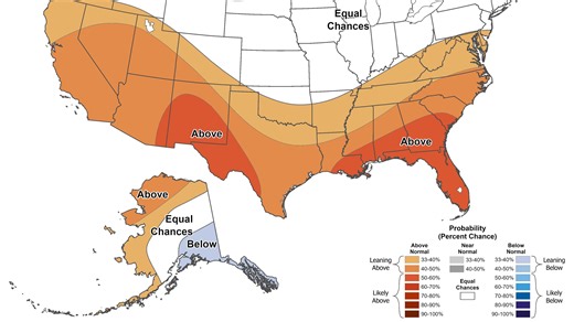 Is winter over in Florida? See forecasts from gators, owl, groundhog