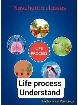 Life process