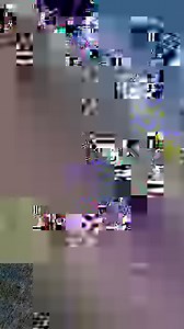 28K views · 2.3K reactions | Well that’s a first! I received 6 pacific black ducklings who’s mum had been run over on Shepherds Hiil Road, Eden Hills. Remember mum duck who just hatched 6ducklings? I wondered if she would accept these orphans. I carried them down to her and she heard them calling and instantly attacked me, demanding that I give her those ducklings!!藍 What a wonderful mother she is! | Minton Farm Animal Rescue Centre | Facebook