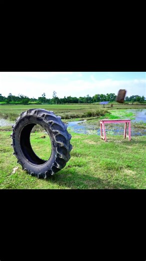 Nonstop Fun Activities for All Ages