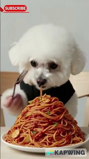 Cute Dog Eating Giant Spaghetti Like a Human! 🍝 Hilarious Pet Video