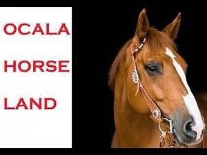 Ocala Florida Map Video