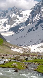 66K views · 1.4K reactions | Kashmir The Beautiful Place on Earth Kashmir In Summer Video Credit  @with_suhail7 | Tour To Kashmir | Facebook